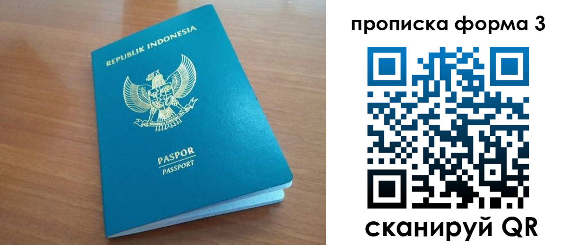 прописка иностранных граждан в Светлом